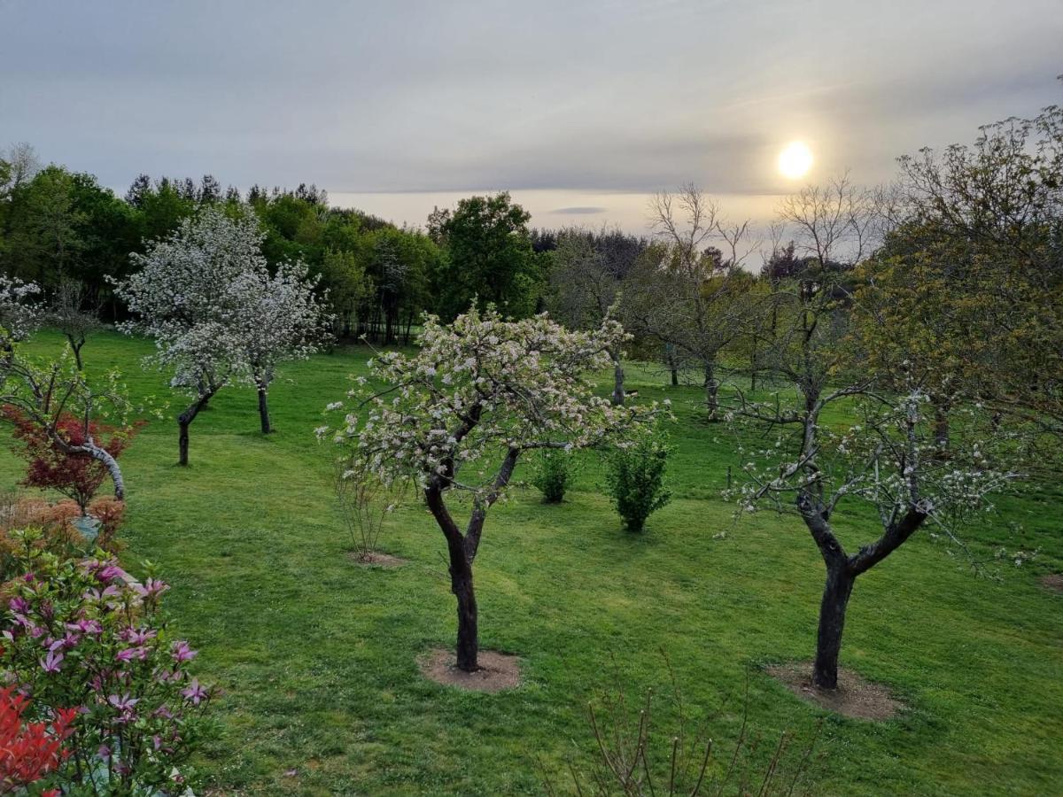 Casa Pro Pantea Villa Monforte De Lemos Exteriör bild